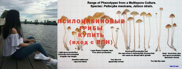 винт Очёр