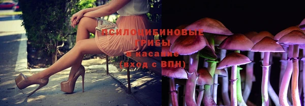 крисы Алексеевка