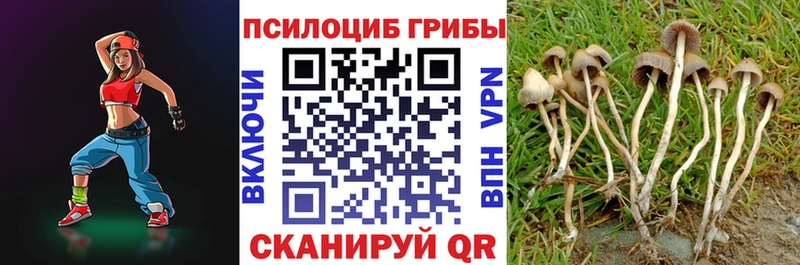 Псилоцибиновые грибы Psilocybe  закладка  Безенчук 