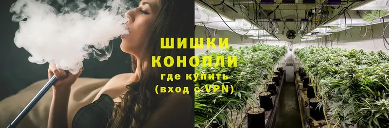 цена   Безенчук  Канабис OG Kush 